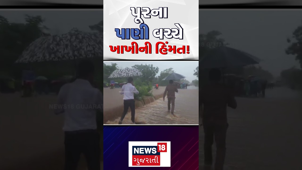 Navsari Floods Police Help: પૂરના પાણી વચ્ચે ખાખીની હિંમત | Heavy Rain | Weather | N18S