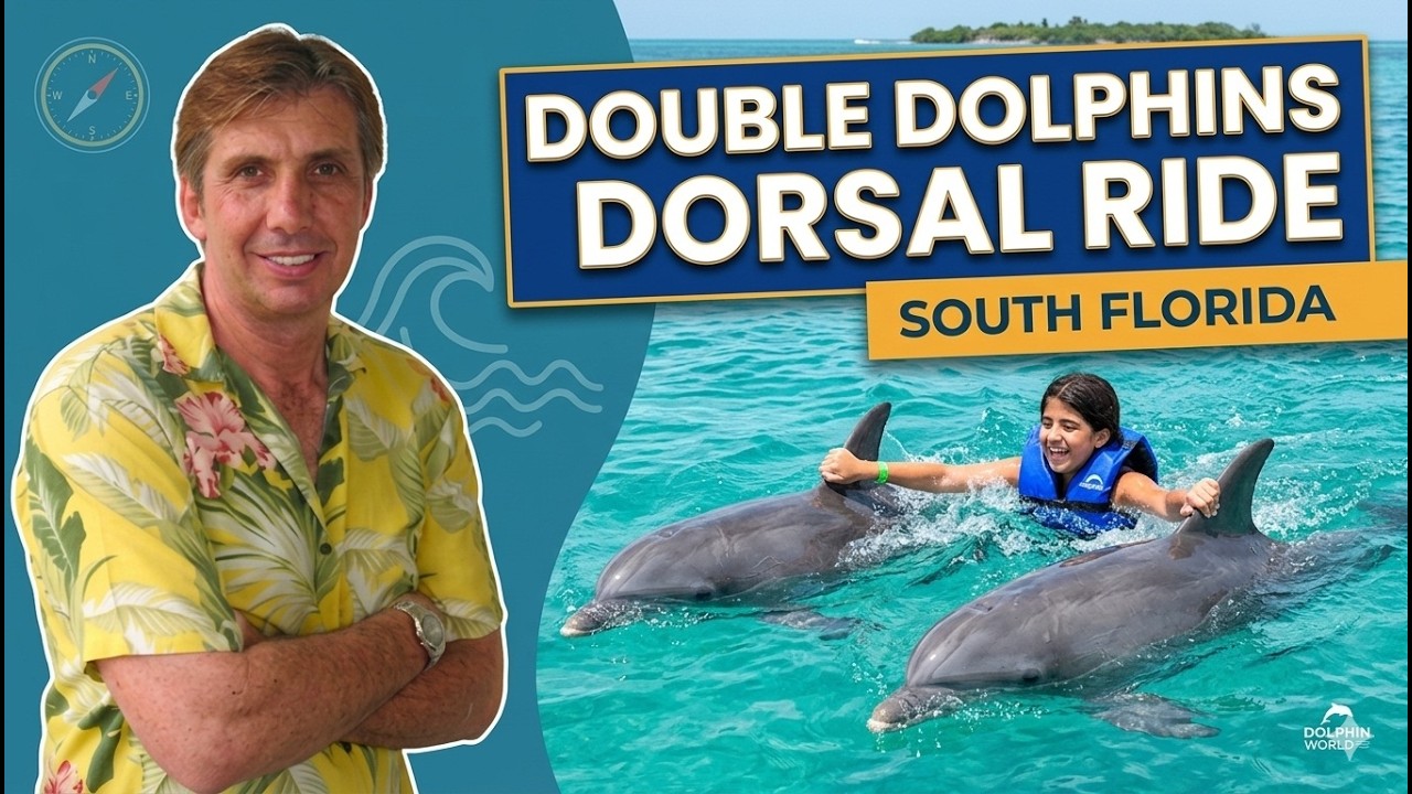Dolphin Royal Swim in Miami