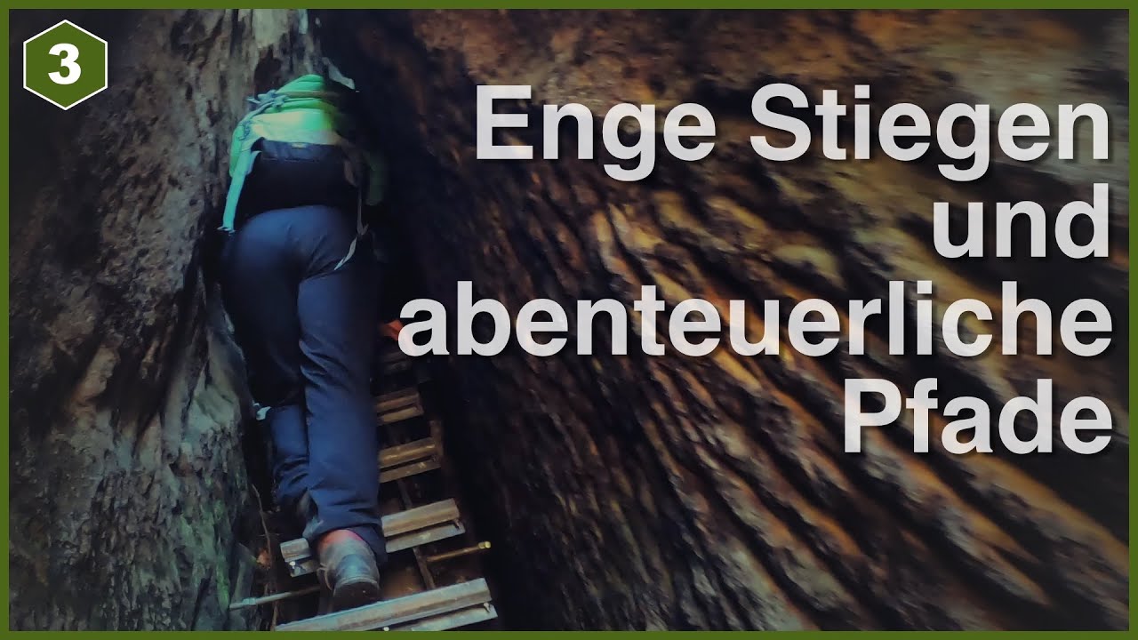 Sächsische Schweiz - Abenteuerliche Felsen und abgestorbende Wälder