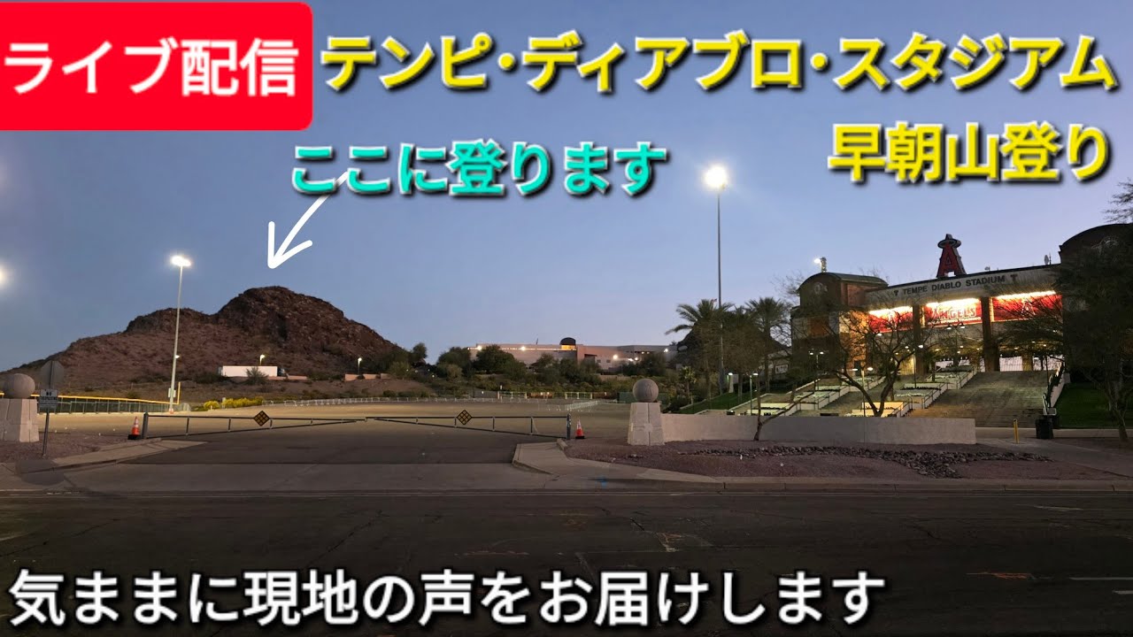 【ライブ配信】早朝山登り🐶気ままに現地の声をお届けします⚾️Shinsuke Handyman がライブ配信中！