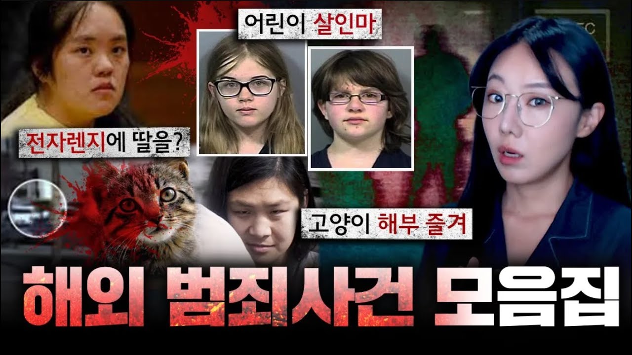 라디오처럼 틀어놓기 좋은 3시간 연속 해외범죄사건 모음 | 디바제시카 인기영상