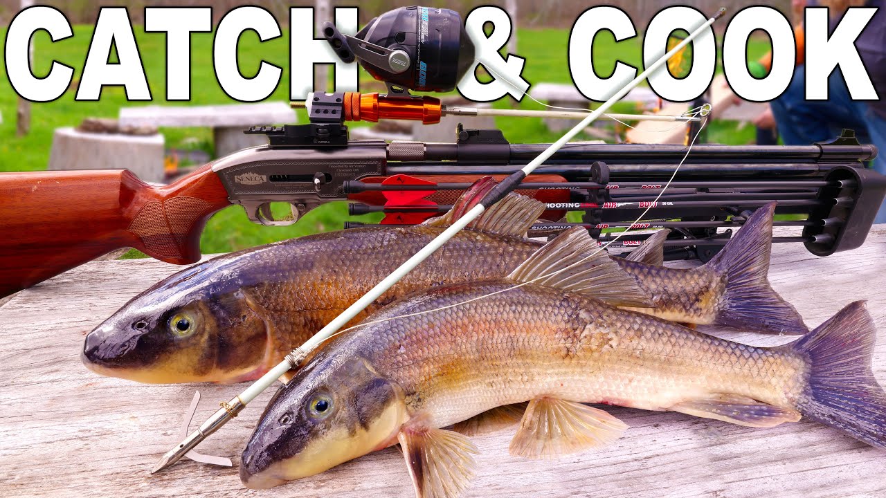 Air Rifle Bow Fishing Rigged to Catch and Cook Suckers! BIG Bore 50 cal. Seneca Dragon Claw Air Gun