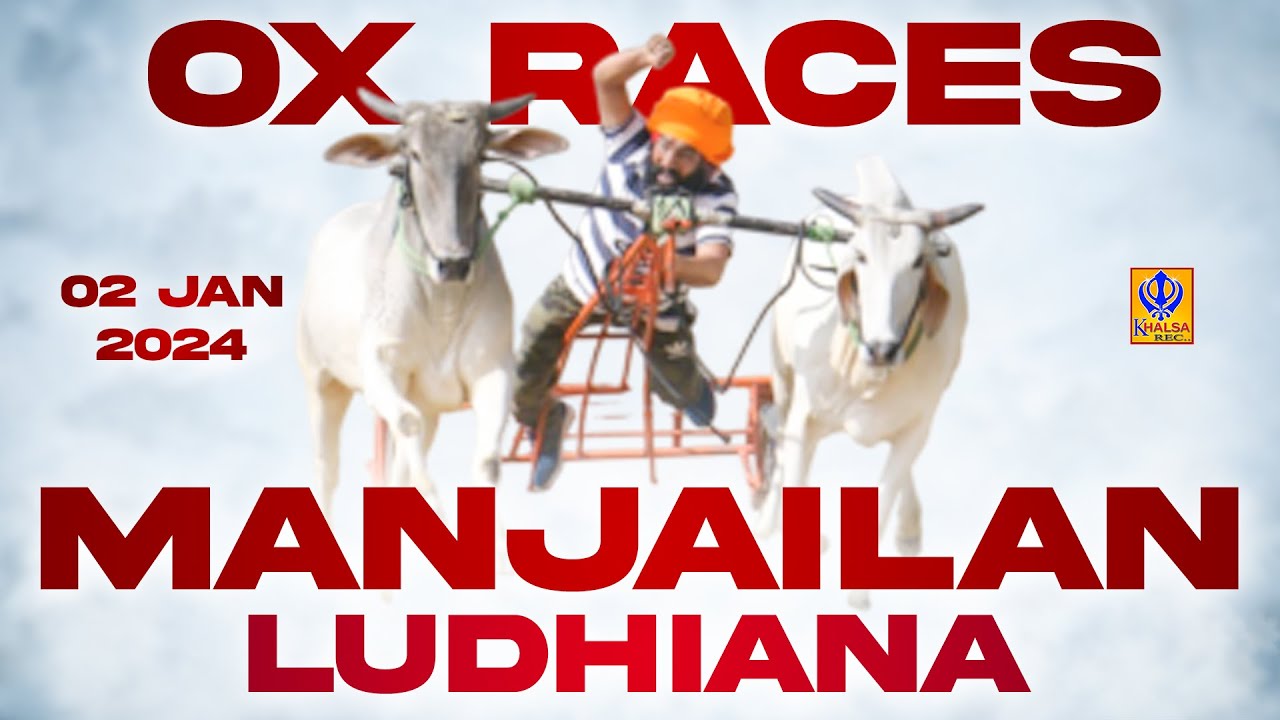 🔴[Live] Manjalian | Samrala | Ludhiana | ਬੈਲ ਗੱਡੀਆਂ ਦੀਆਂ ਦੌੜਾਂ | Ox Races | 02 Jan 2024