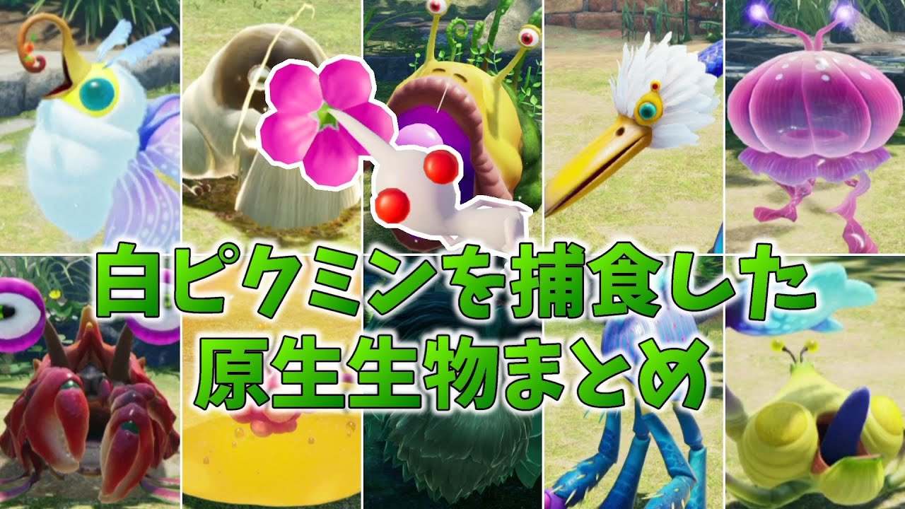 白ピクミンを捕食した原生生物まとめ【ピクミン４】閲覧注意