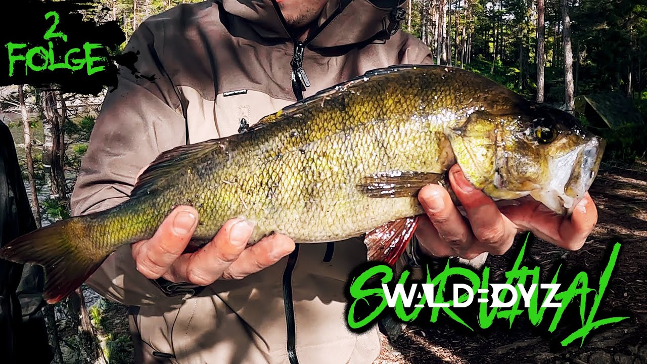 WALDBOYZ SURVIVAL | SCHWEDEN | FOLGE 2 - Unwetter & Elche