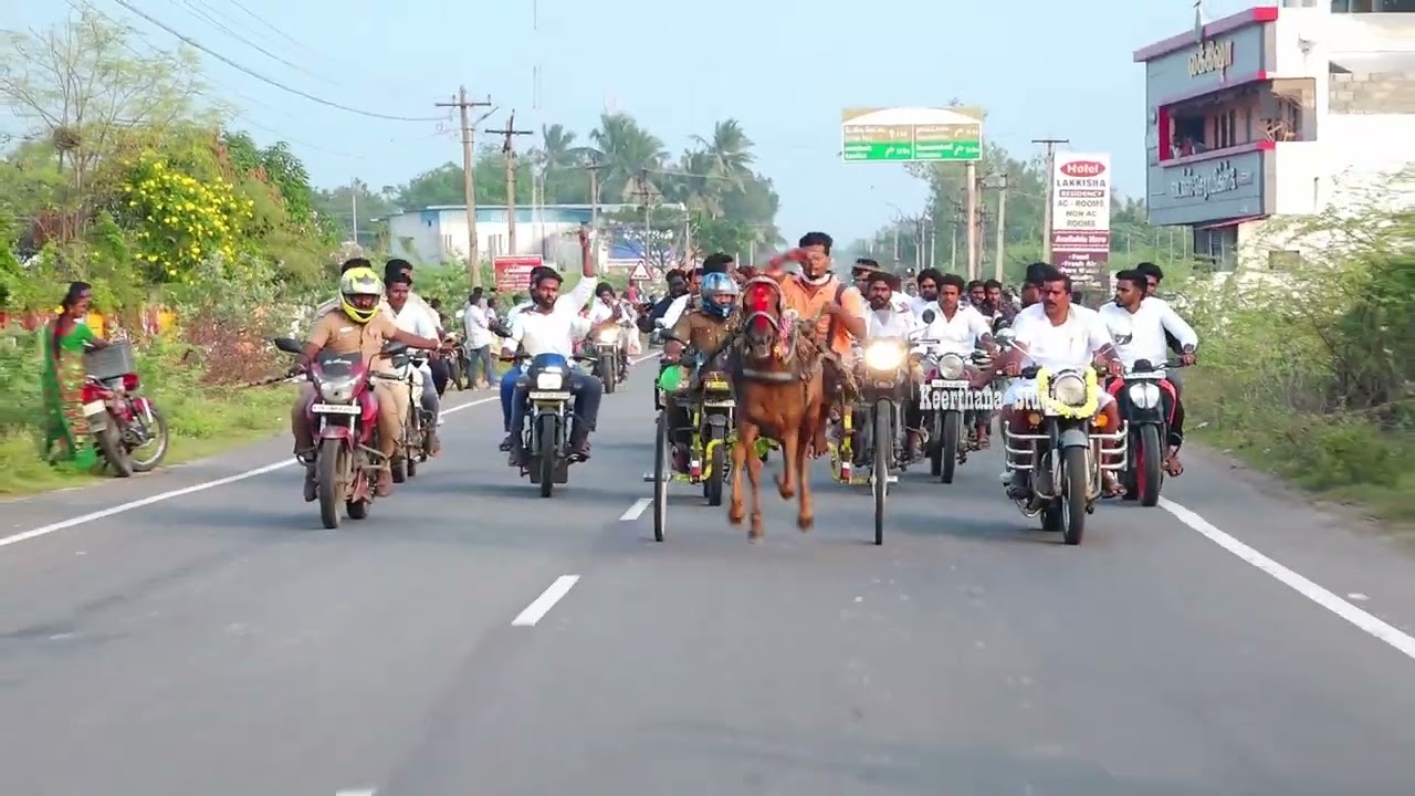 திருக்கடையூர் பெரிய குதிரை பிரிவு-2 17.01.2026