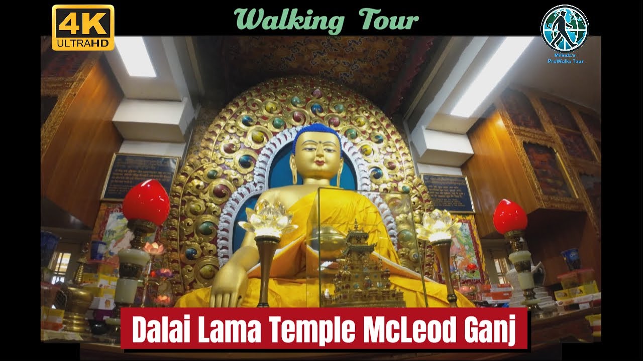 Namgyal Monastery Dharamshala Walking Tour | Dalai Lama Temple McLeod Ganj | Spiritual Travel India