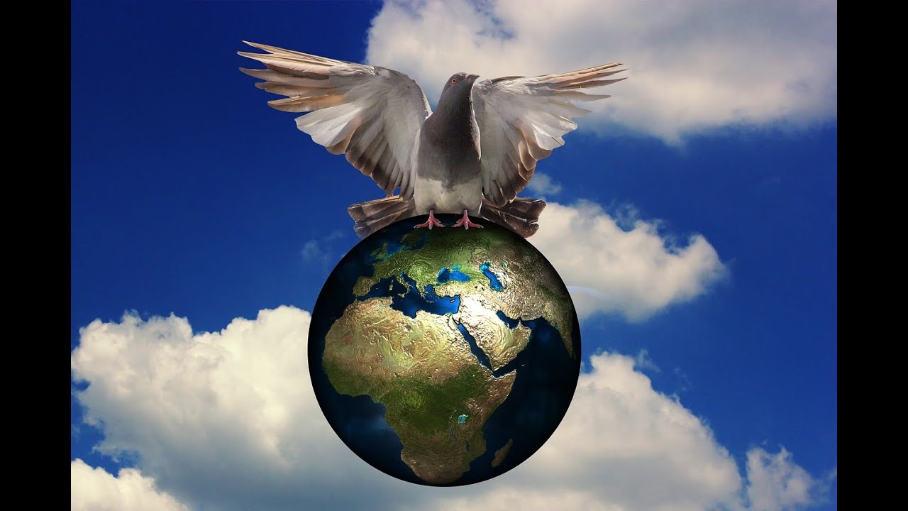 Die Welt brennt