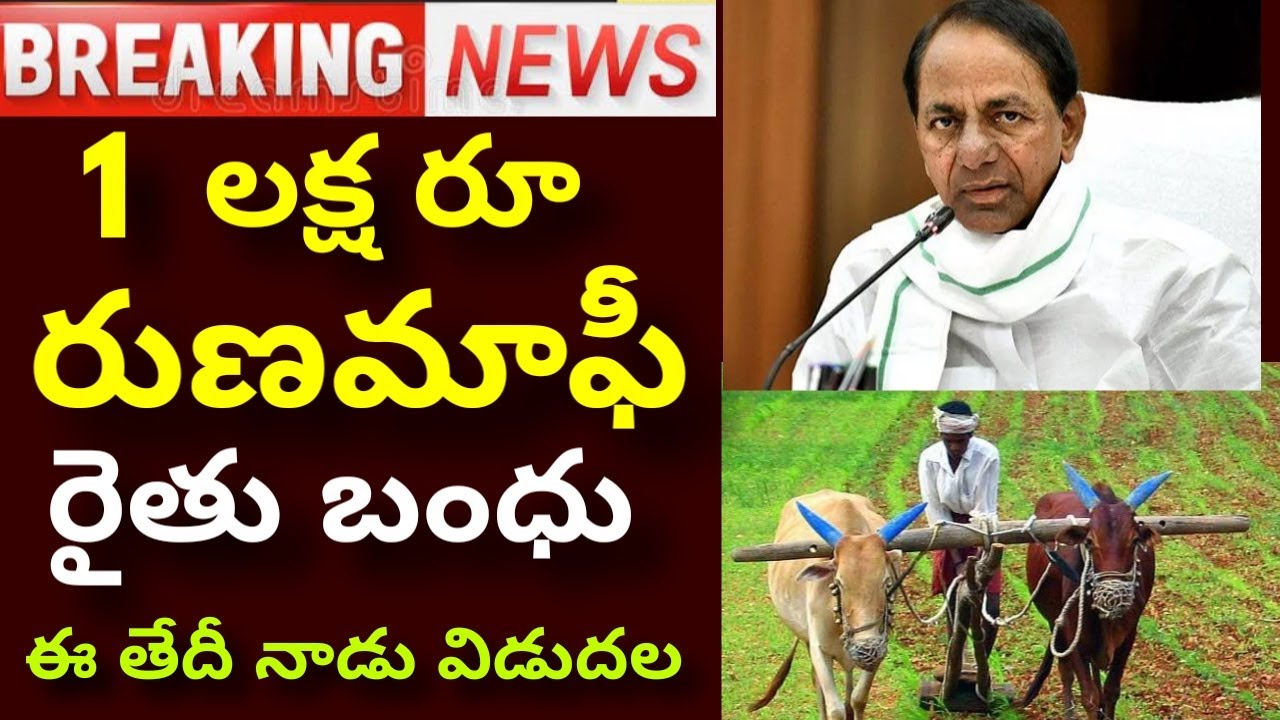 రైతులకు 1లక్ష రూ రుణమాఫీ   రైతు బంధు విడుదల  |  Rythu Samacharam