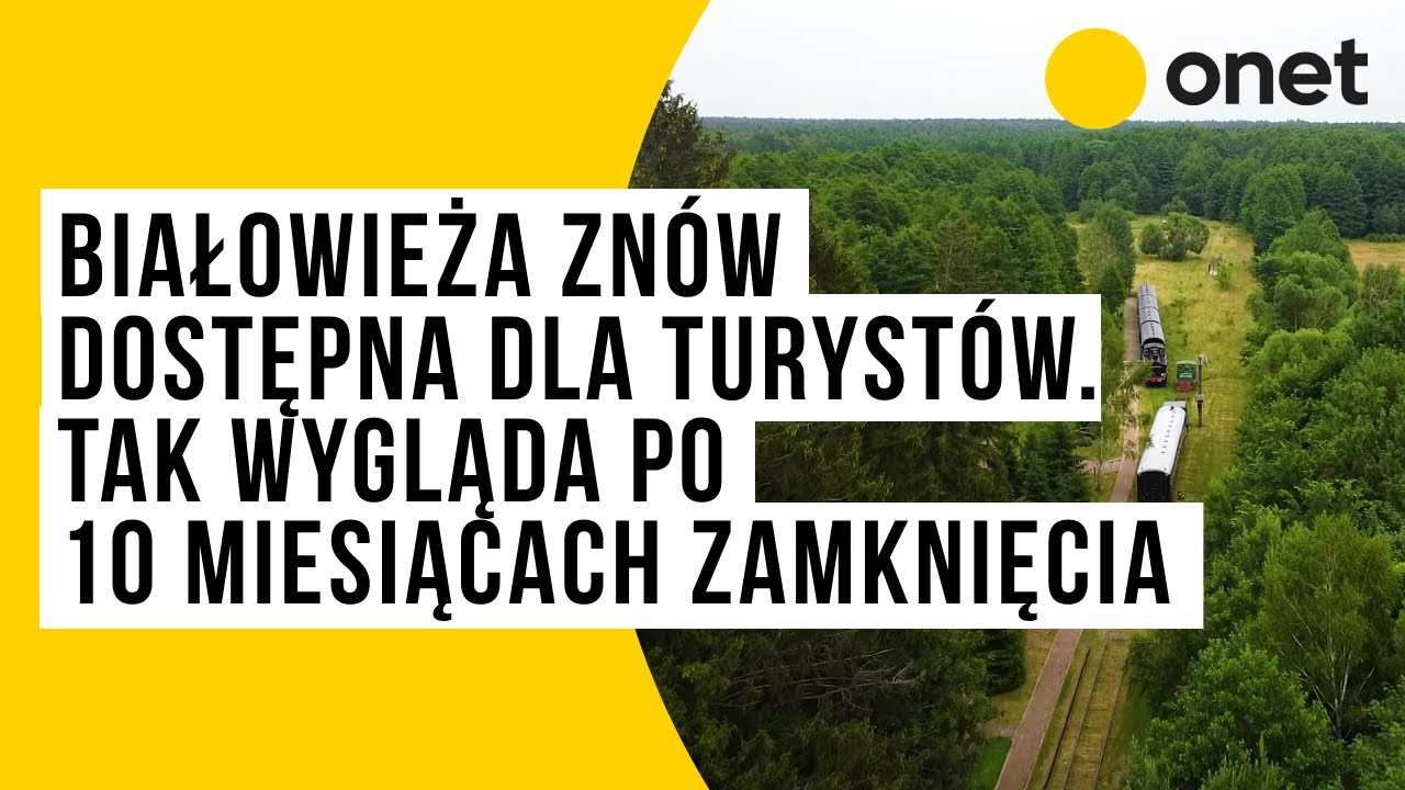 Białowieża znów dostępna dla turystów. Tak wygląda po 10 miesiącach zamknięcia