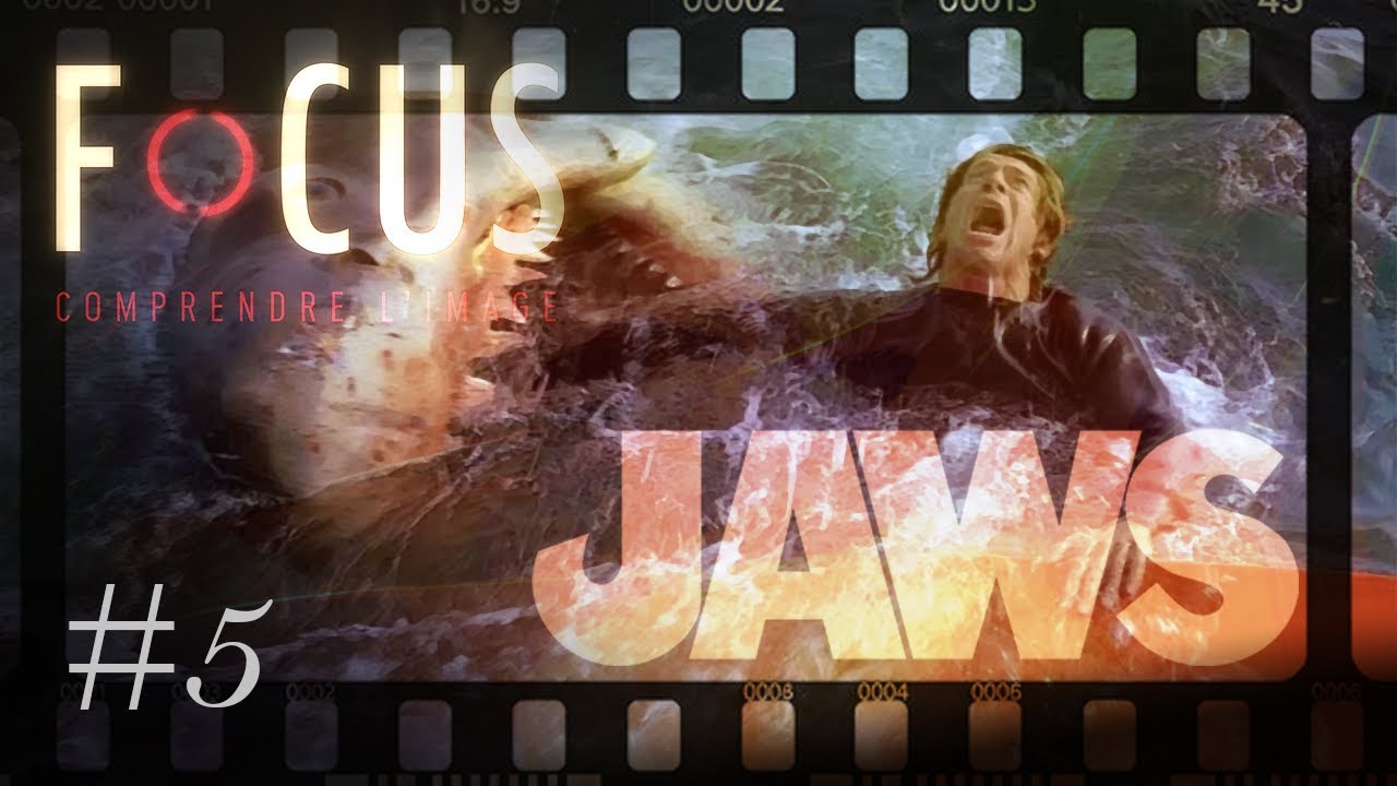 Focus #5 : Jaws - Analyse de la scène de l'estuaire