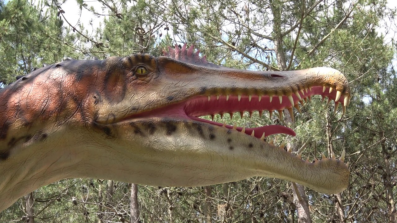 DINO PARQUE DA LOURINHÃ 2018