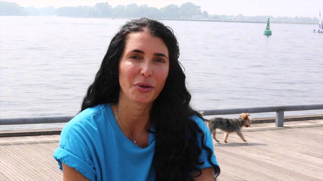 Pet Safety Tips- Should your Dog wear a life jacket or Running Shoes or Boots?