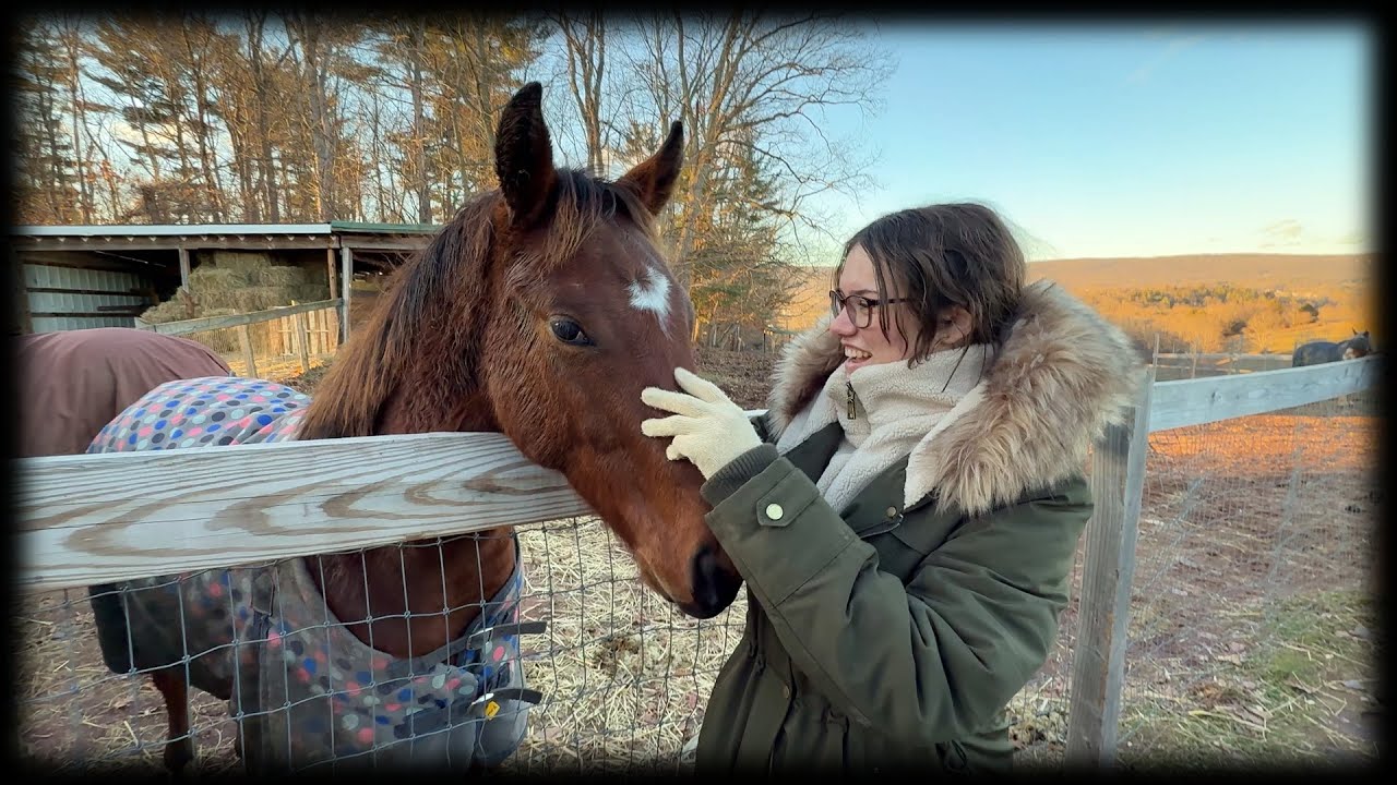 Seeing The Stable Through Fresh Eyes