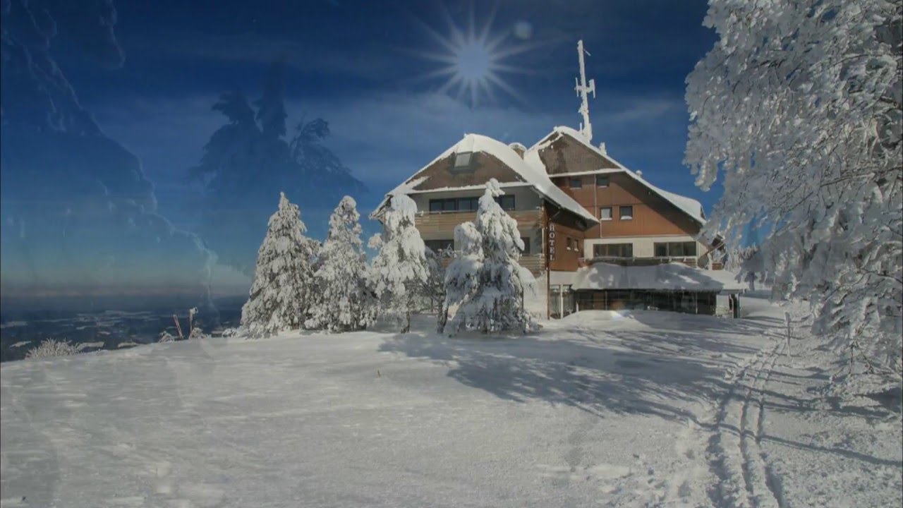 Winter auf dem Kandel (Feb 2015)