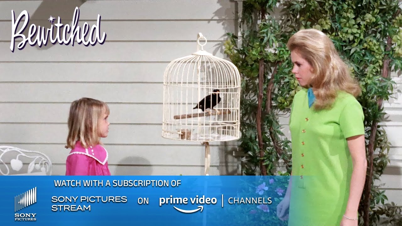 Tabitha makes a bird talk | Bewitched - TV show | Sony Pictures - Stream