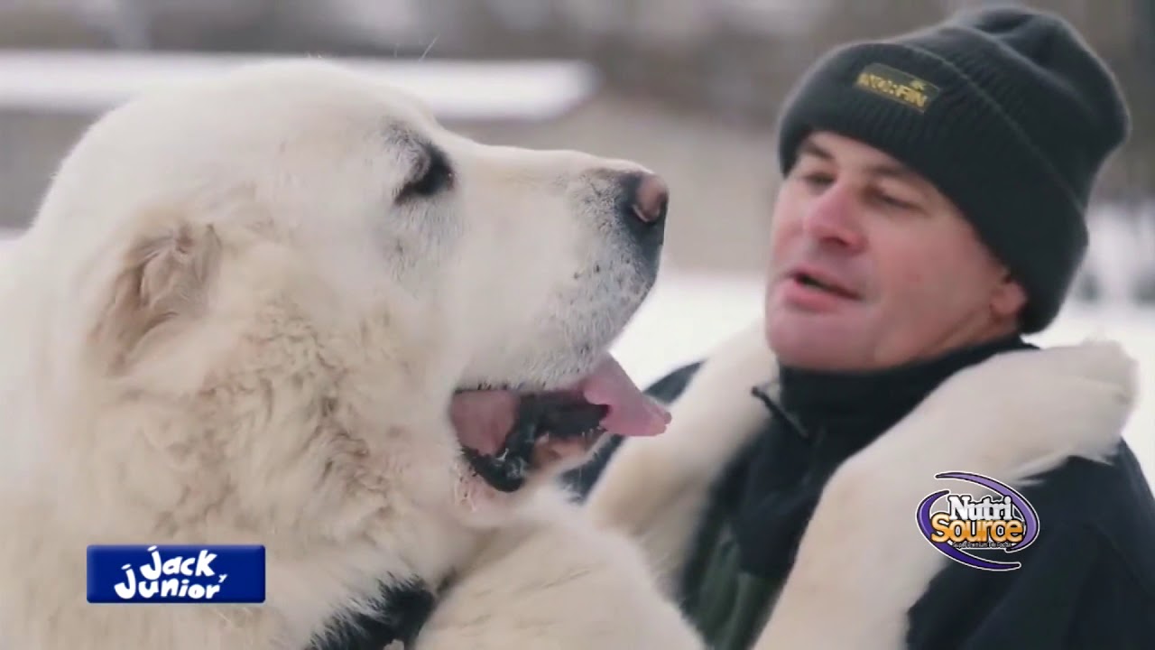 JACK Y JUNIOR 489 JUN 10 2018