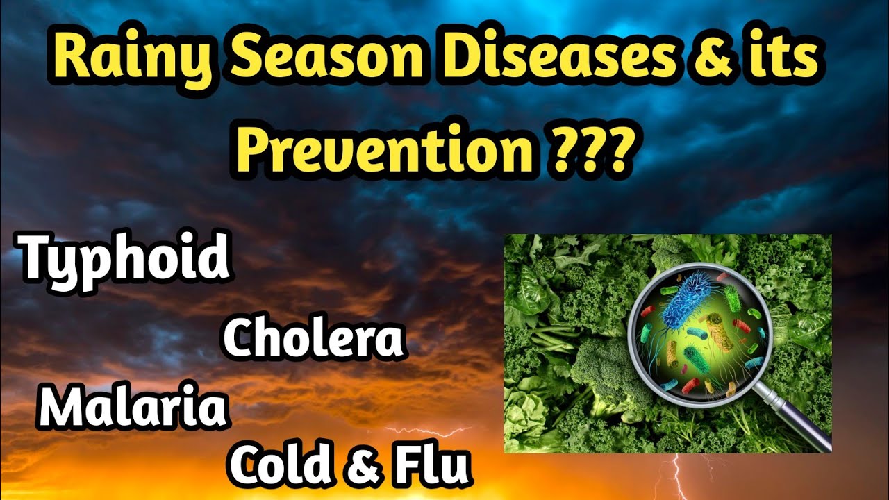 Rainy Season Diseases and prevention.
