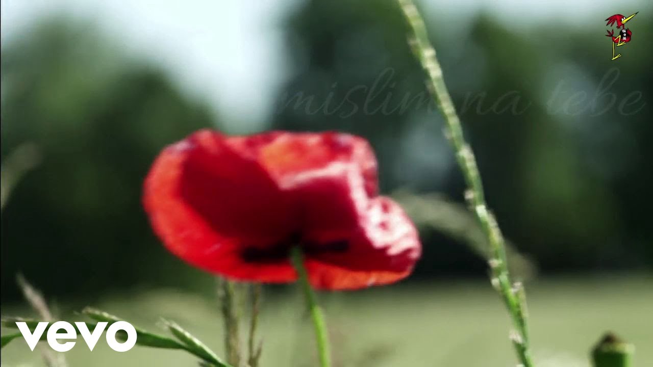 Nada Obrić - Tri Godine