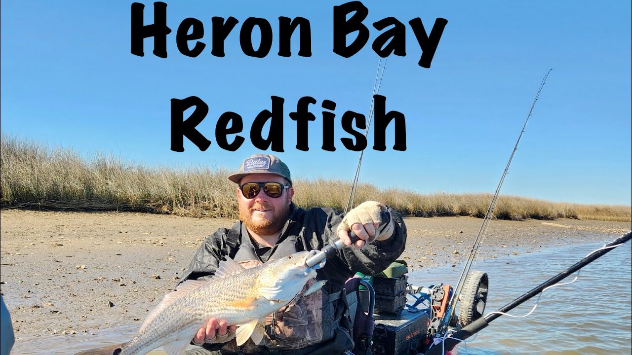 Chasing Redfish During Wintertime Low Tides Fishing At Heron Bay Coden, AL