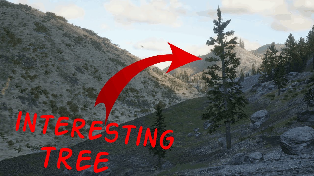 This tree is special