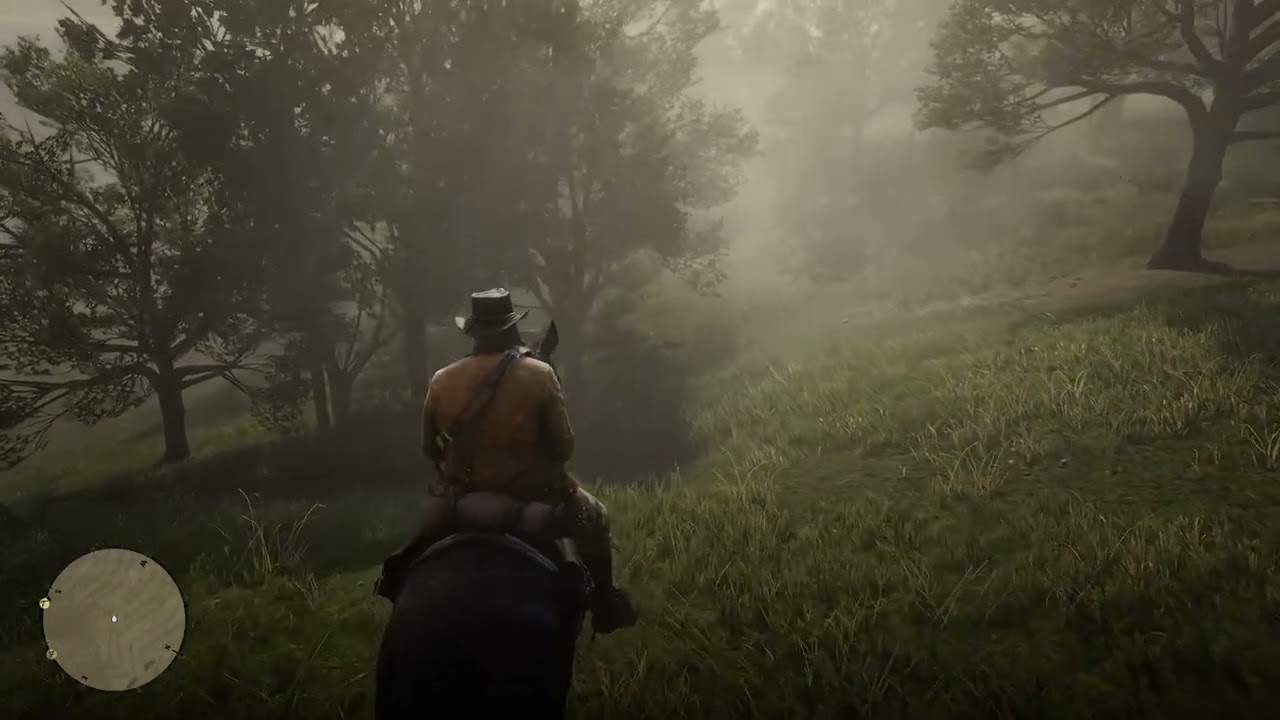 Red Dead Redemption 2 RTX 5060
