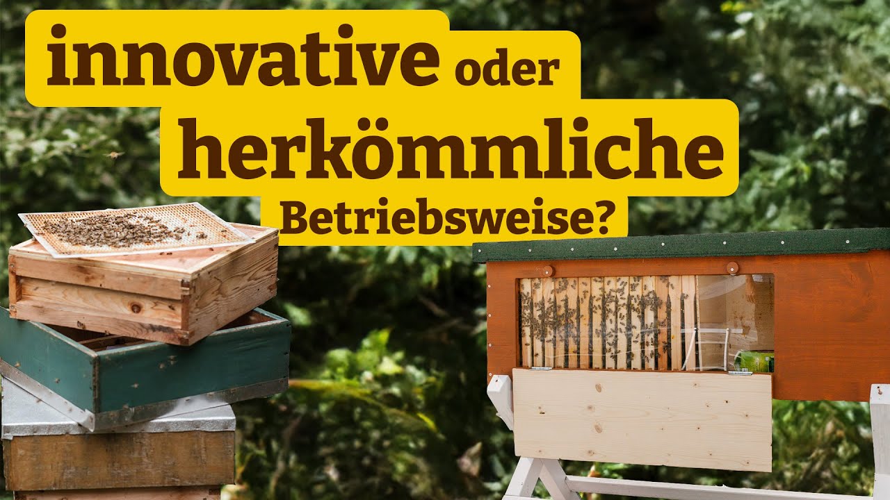 Königinnenkäfigen statt Ameisensäure: Biotechnische Maßnahmen im Forschungsvergleich (VITALBIENE)