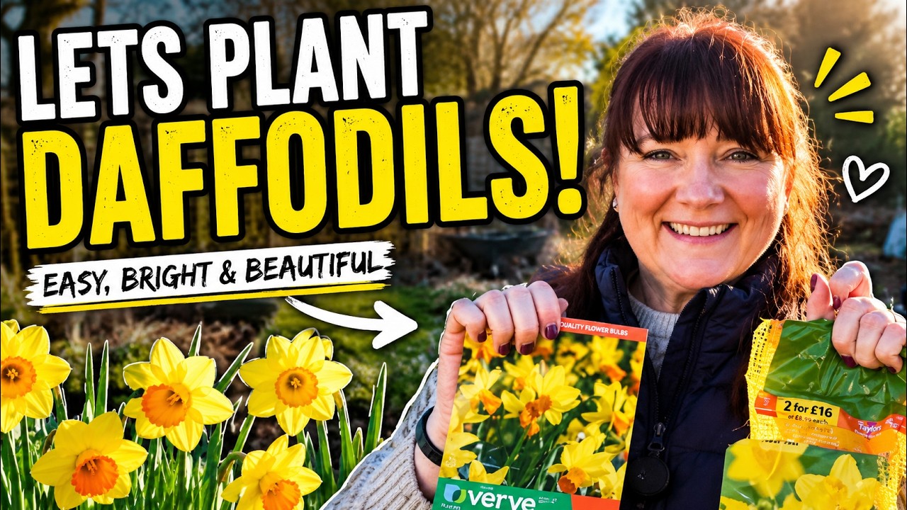 Spring Starts Now! Planting Daffodils Made Simple #garden #gardening #gardeningtips #gardeninglife