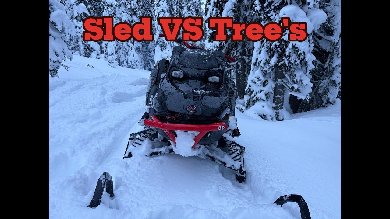 Sled vs Tree's