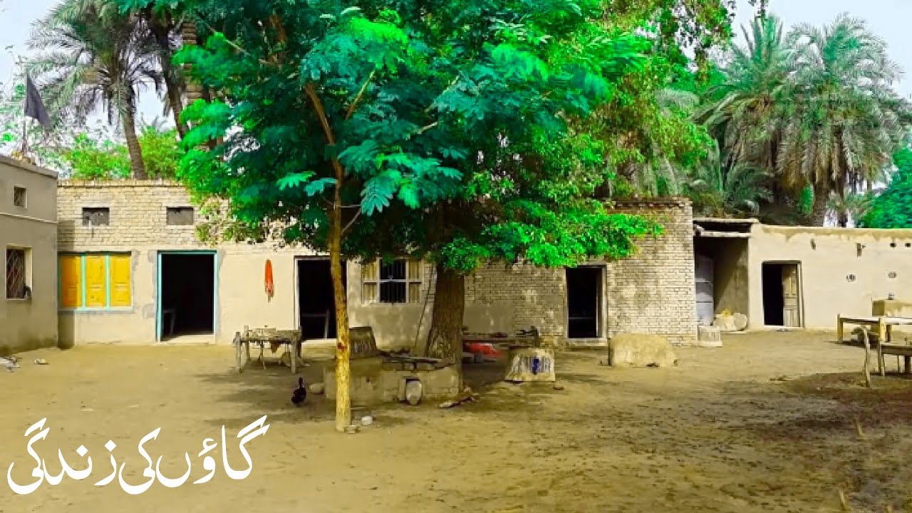 Sindh village life || Village life in Pakistan