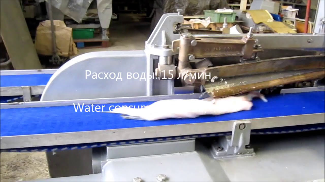 Baader 189 Filleting machine for cod