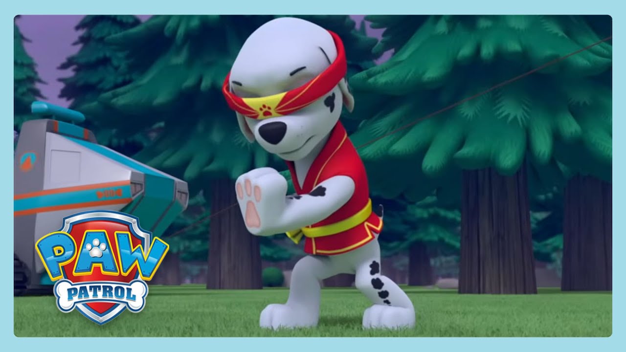 Kung Fu para perros | Paw Patrol | Wildbrain Little Ones