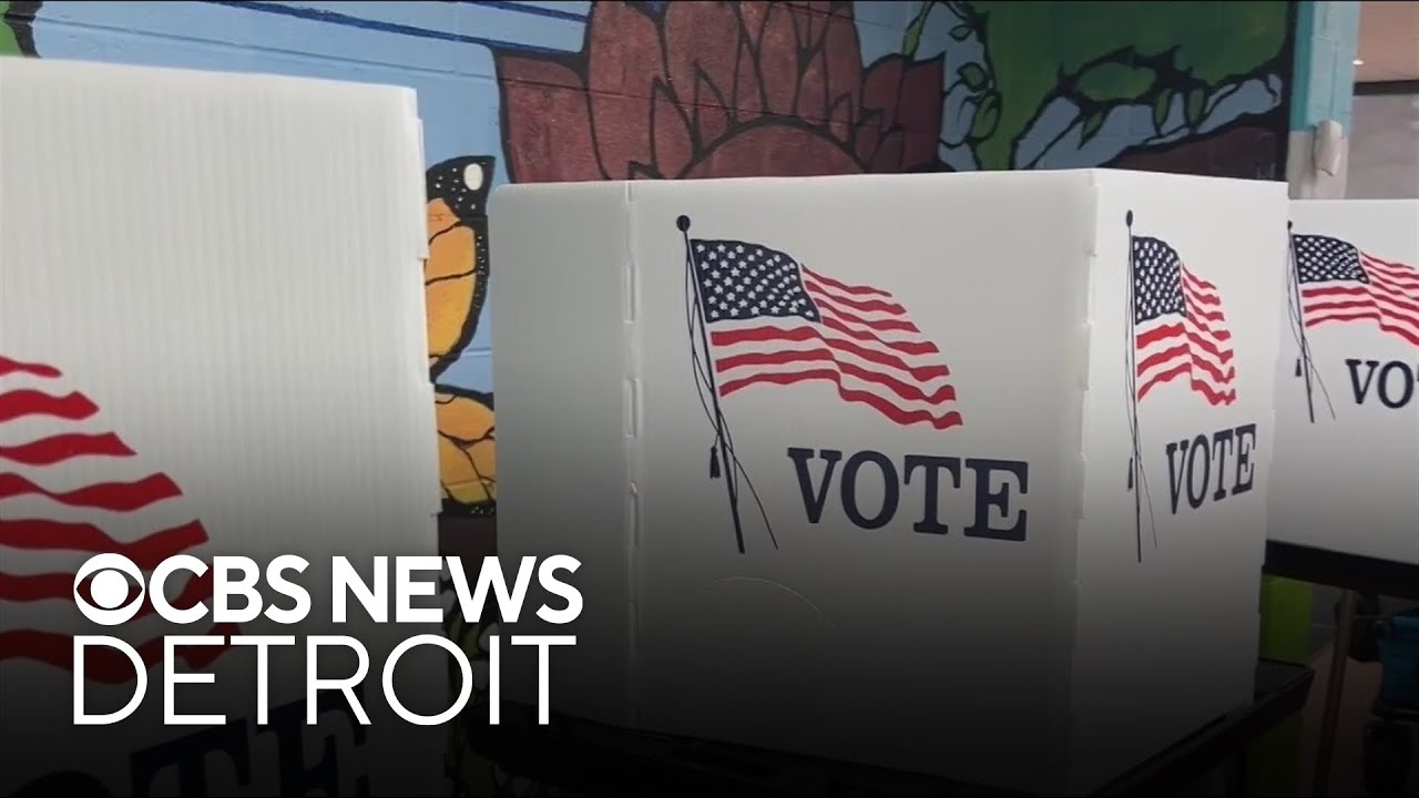 Americans for Citizens Voting submits 750,000 signatures for voter ID ballot proposal