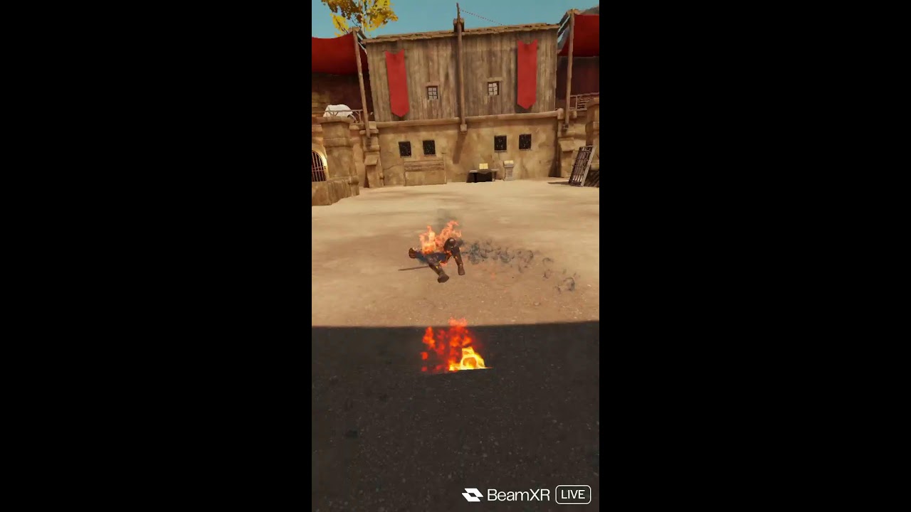 Public matches in VRFS