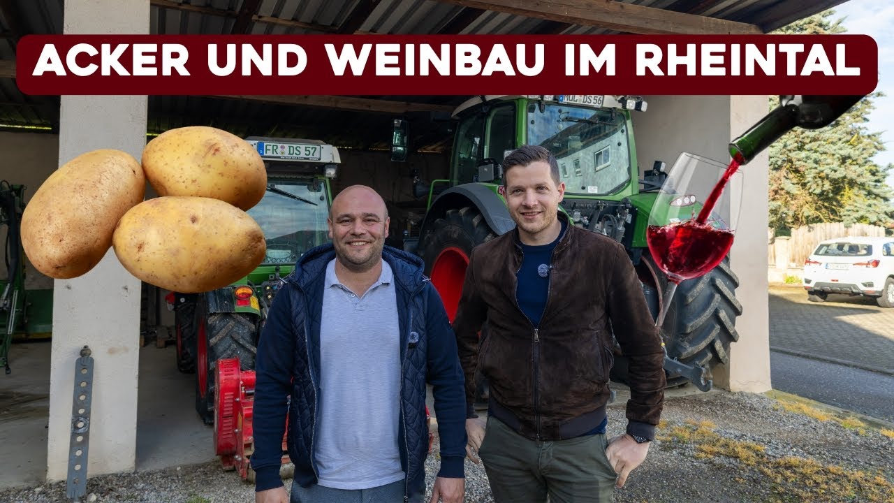 Frühkartoffel, Saatmais und Weinbau - intensive Kulturen für hohen Ertrag