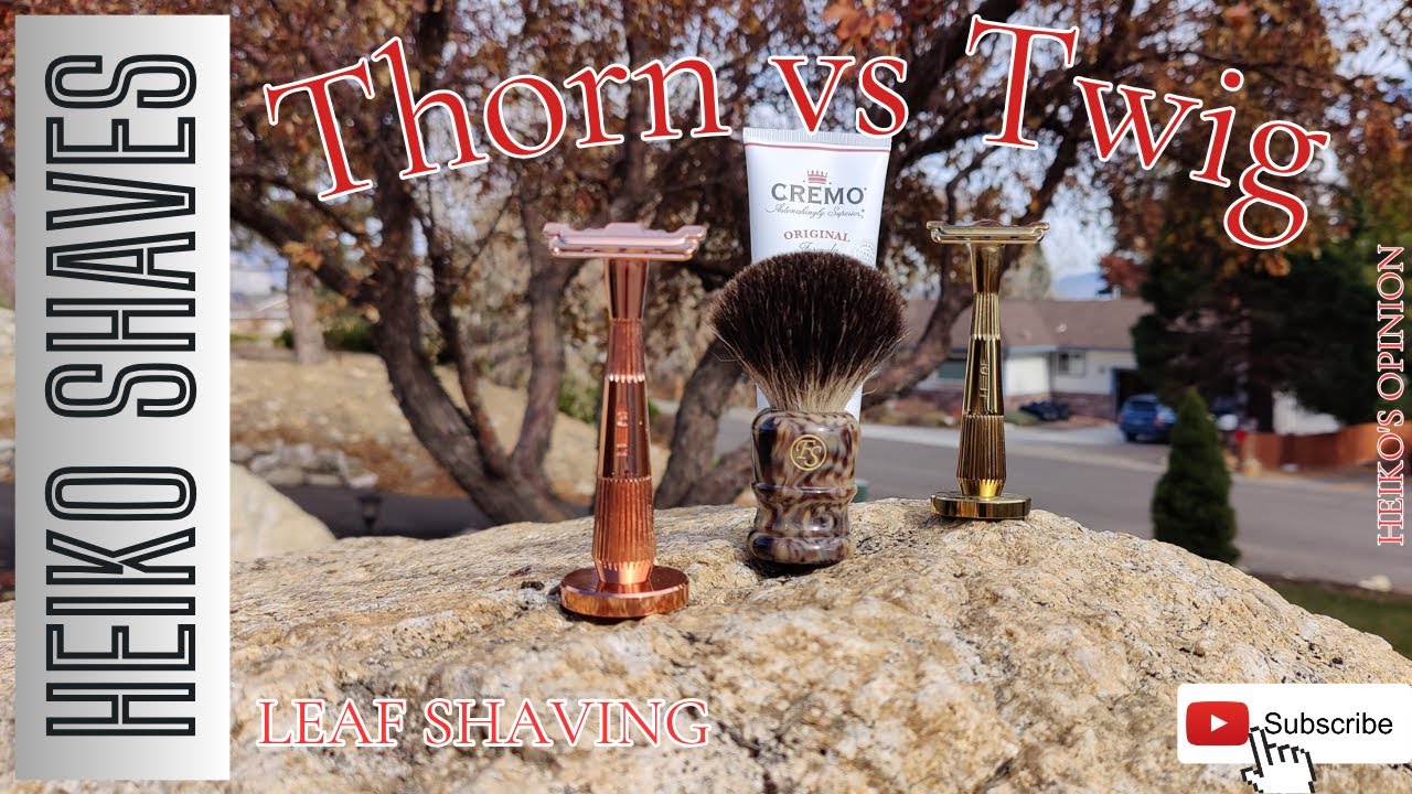 Leaf Twig vs Thorn - Comparison!