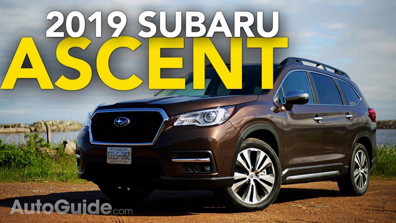 2018 Subaru Ascent Review: 19 Cupholders and much more!