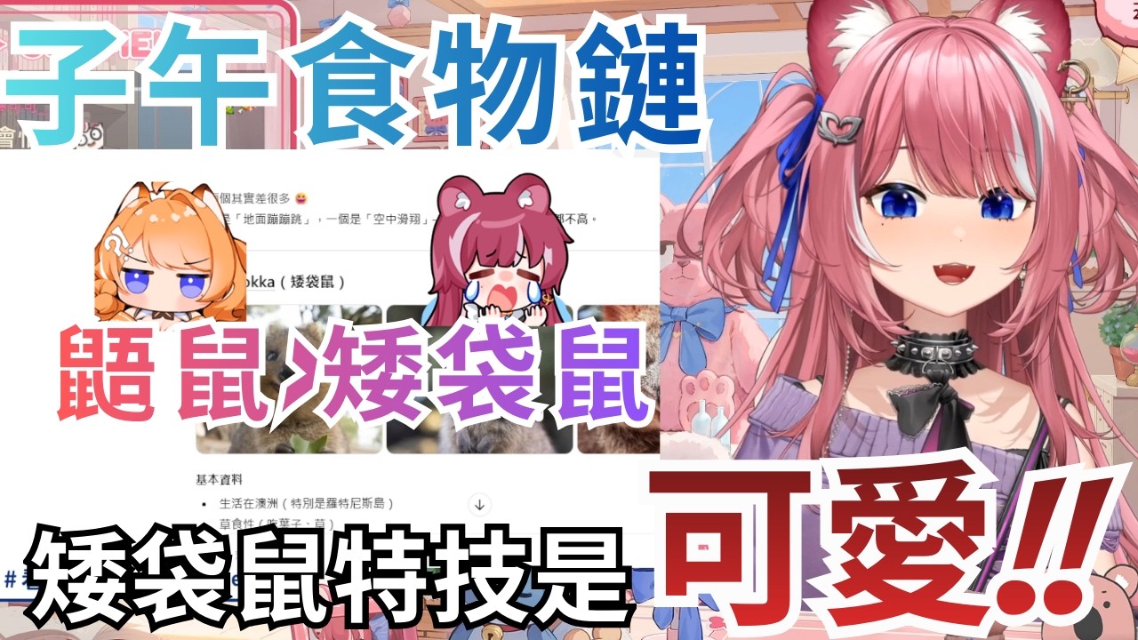 【Kirali精華】矮袋鼠特技是可愛!! #煌Kirali #看豹