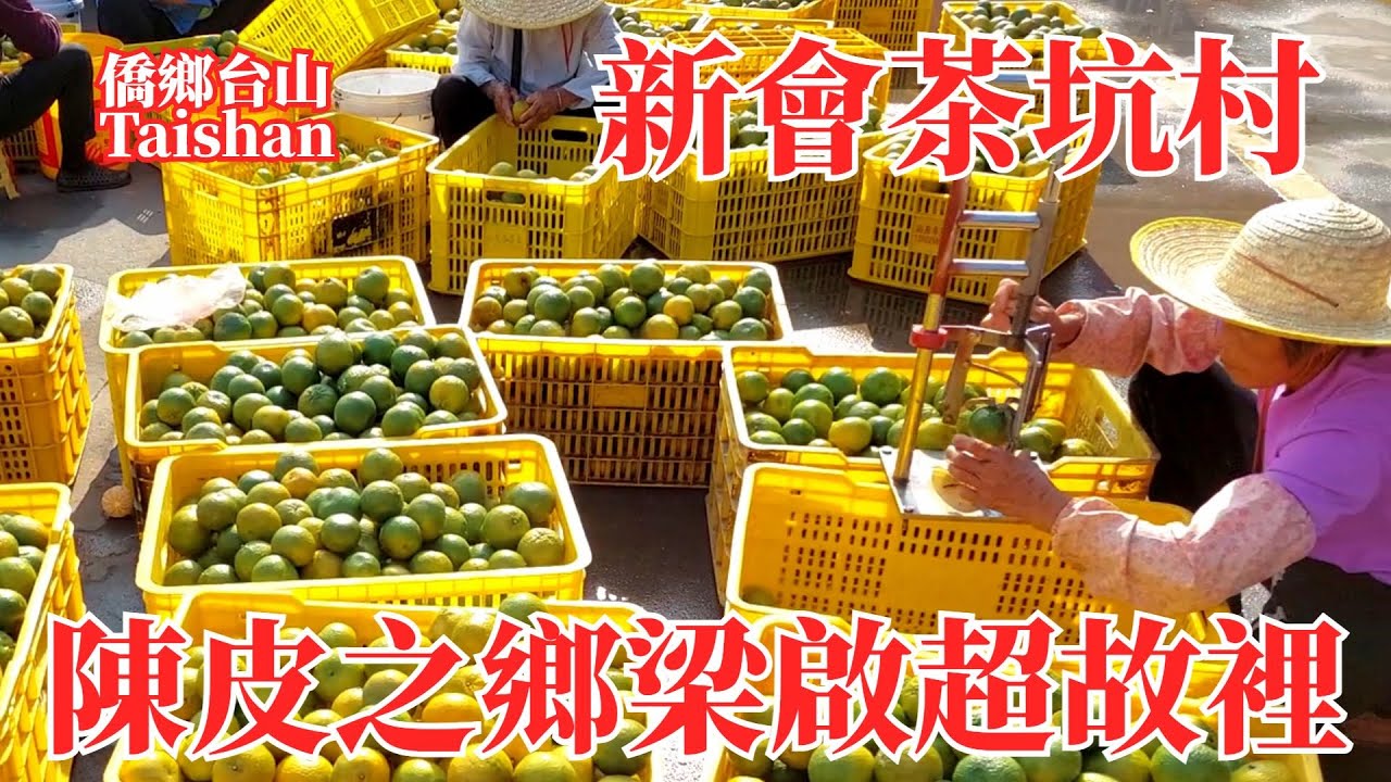 新會Xinhui茶坑村陳皮之鄉香氣瀰漫｜茶坑市場村民都忙著剝曬柑皮｜看到青柑茶的製作過程｜各地小學生帶著任務參觀梁啟超故居｜Chakeng, Liang Qichao's Hometown