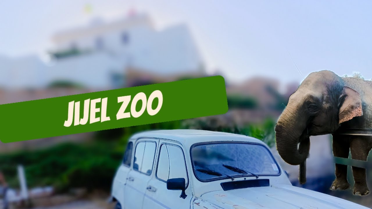 زيارة حديقة الحيوانات Jijel Zoo جيجل وجولة في المنار الكبير
