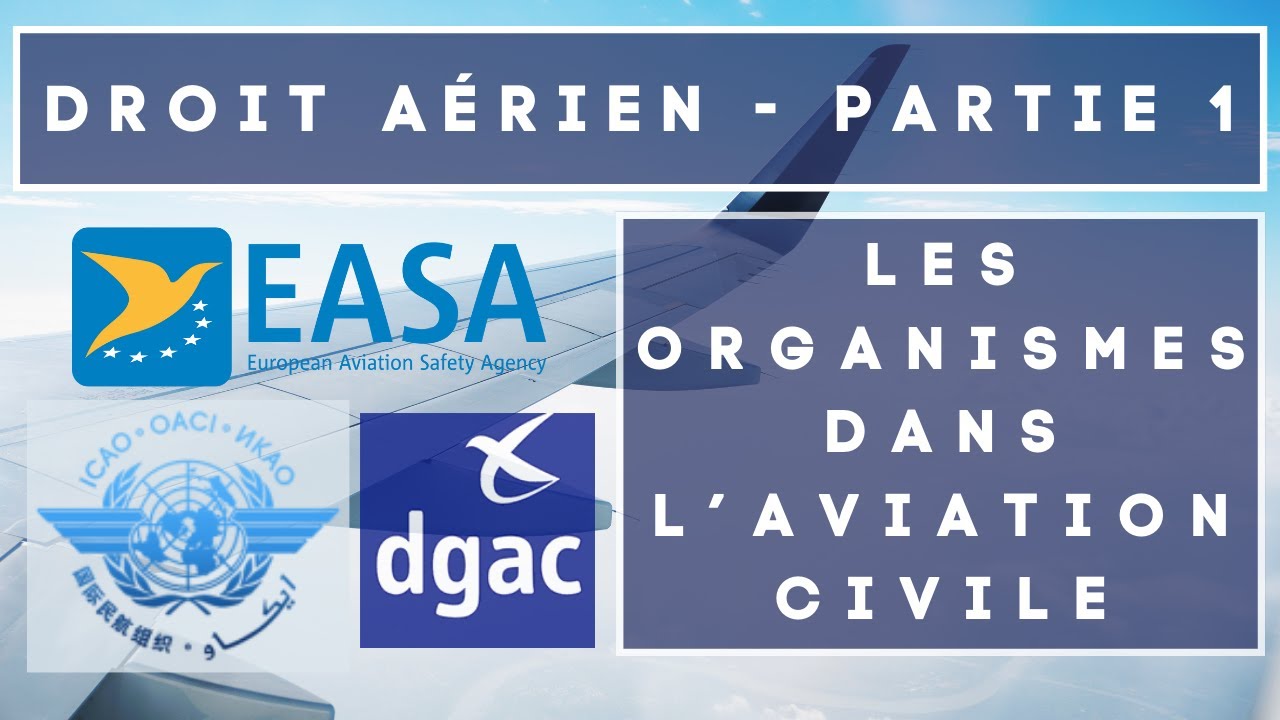 LES ORGANISMES DE L'AVIATION CIVILE - DA 1