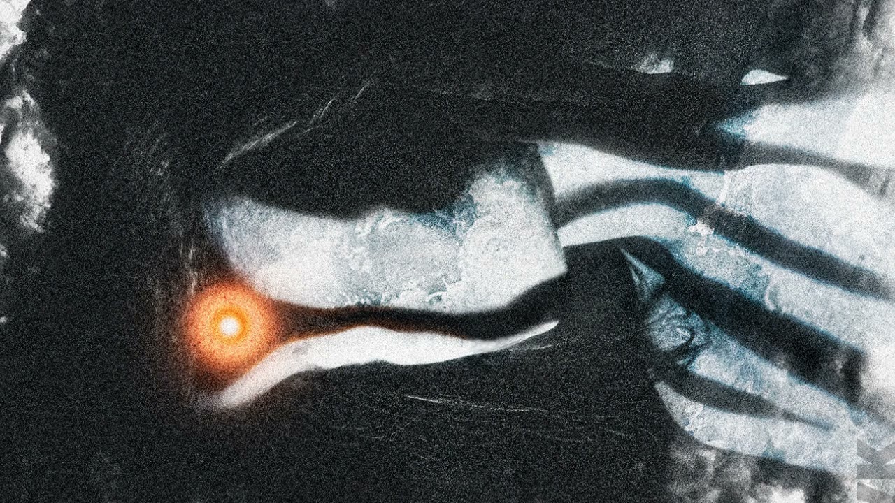 Venus - Quimey