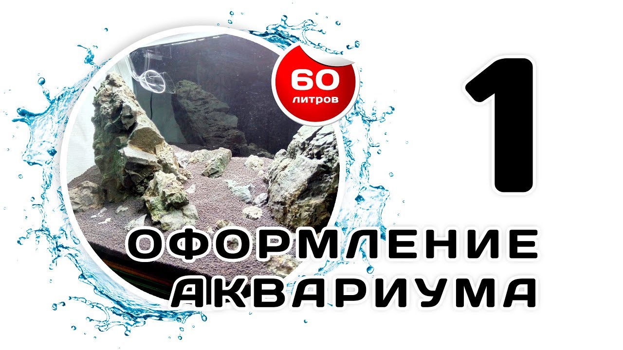 Оформление моего аквариума 60 л. Часть 1. Несколько советов по запуску аквариума для начинающих