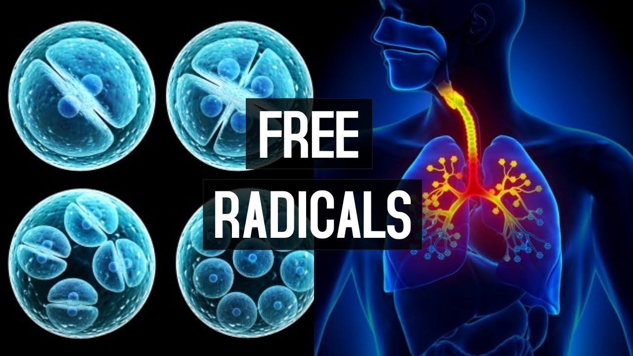 WHAT ARE FREE RADICALS? And What Do They Do To Your Body?