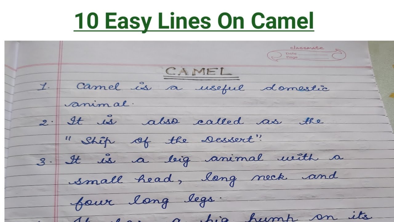 10 Easy Lines On Camel In English/ Short Essay On Camel In English/ Paragraph On Camel In English