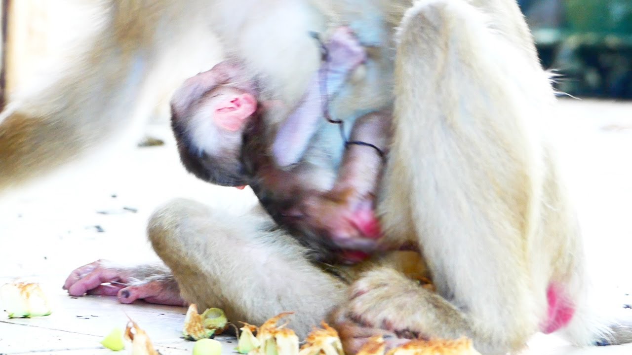 Moly Is Young Mom And She Has Her First Baby, But Moly Can Look After Baby Well