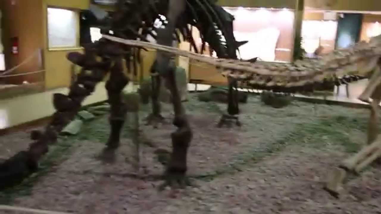 Chinese Dinosaurs at the Wyoming Dinosaur Center