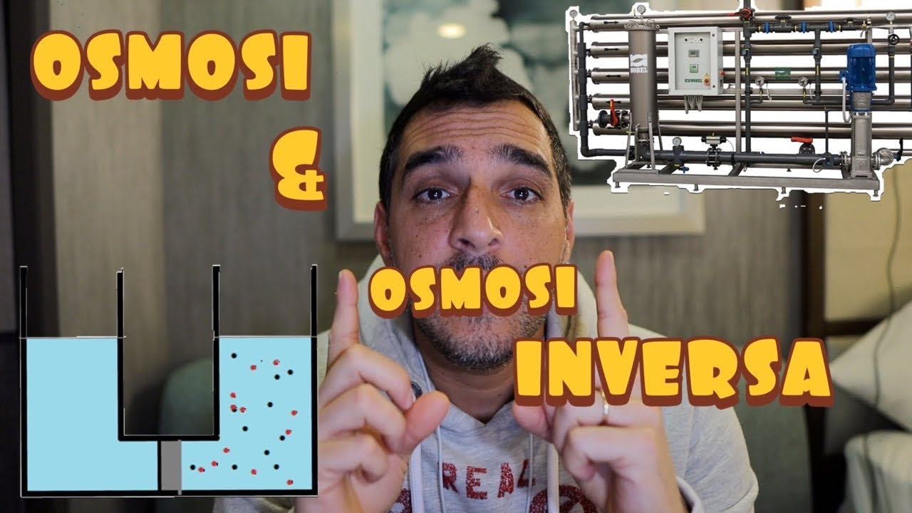 🛳🌊OSMOSI & OSMOSI INVERSA 🌊🛳