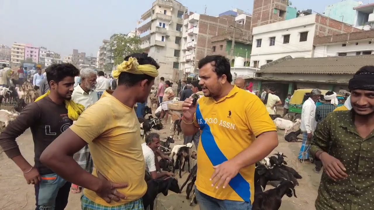 10 नवंबर 2022 को बकरी मंडी Update | Bazar Samiti Patna | Bakri Mandi