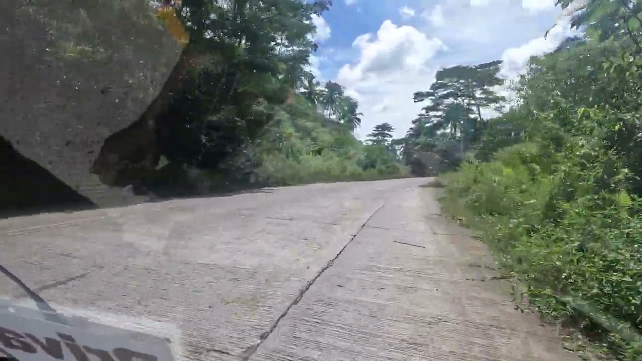 BYPASS ROAD SAN ISIDRO/SAN ANTONIO ROAD, BISLIG SURIGAO DEL SUR